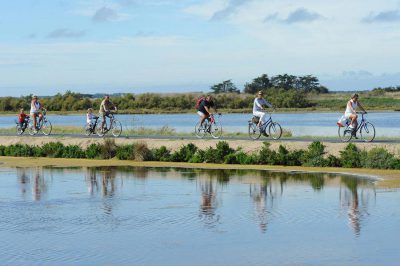 Hotel de La Marée - Ile de Ré - Balade en vélo