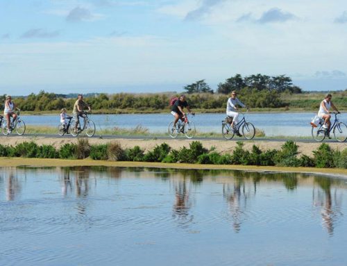 Hotel ile de Ré – Balade en vélo sur l’ile de Ré