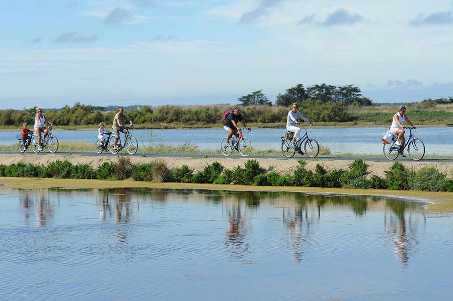 Hotel de La Marée - Ile de Ré - Hotel 3 étoiles - Balade en vélo