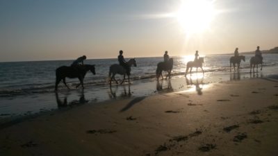 Promenade à cheval