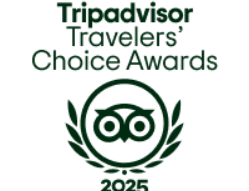 L’Hôtel de La Marée – Ile de Ré décroche le Travelers’ Choice 2025 de TripAdvisor !